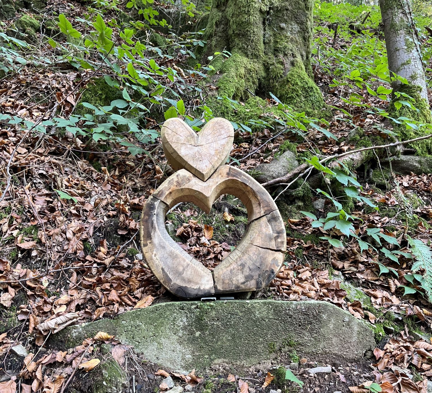 Waldbaden in Altdorf im Kreis Böblingen