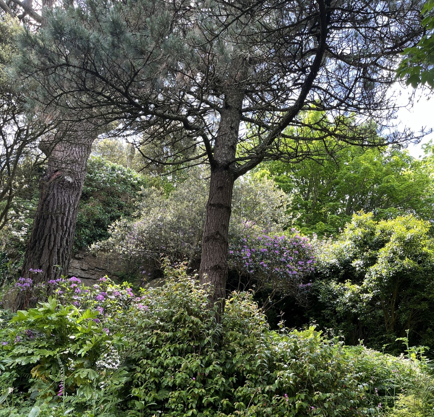 Waldaben ist Entspannung für die Seele.